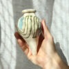olla (38€)
